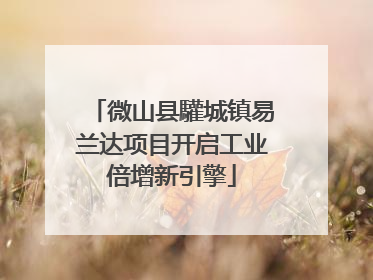 微山县驩城镇易兰达项目开启工业倍增新引擎