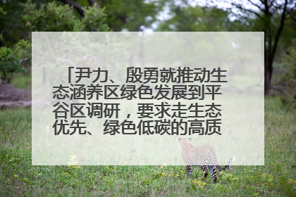 尹力、殷勇就推动生态涵养区绿色发展到平谷区调研，要求走生态优先、绿色低碳的高质量发展之路
