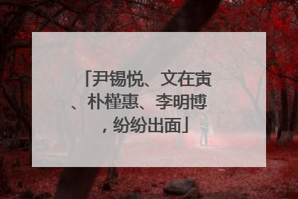尹锡悦、文在寅、朴槿惠、李明博，纷纷出面