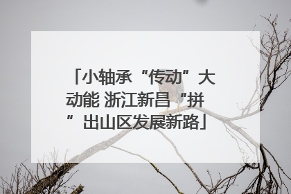 小轴承“传动”大动能 浙江新昌“拼”出山区发展新路