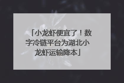 小龙虾便宜了！数字冷链平台为湖北小龙虾运输降本
