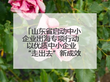 山东省启动中小企业出海专项行动 以优质中小企业“走出去”新成效展示山东产业发展新形象