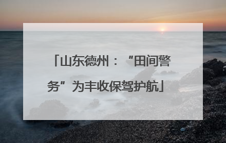 山东德州：“田间警务”为丰收保驾护航