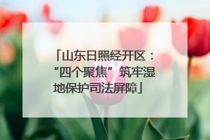 山东日照经开区：“四个聚焦”筑牢湿地保护司法屏障