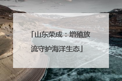 山东荣成：增殖放流守护海洋生态