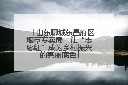 山东聊城东昌府区烟草专卖局：让“志愿红”成为乡村振兴的亮丽底色