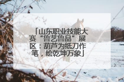 山东职业技能大赛“鲁艺鲁品”展区：葫芦为纸刀作笔，绘乾坤万象