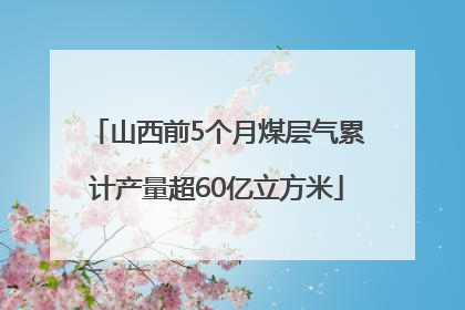 山西前5个月煤层气累计产量超60亿立方米