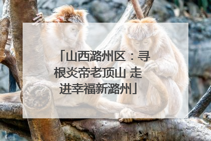 山西潞州区：寻根炎帝老顶山 走进幸福新潞州