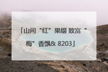 山间“红”果缀 致富“梅”香飘& 8203