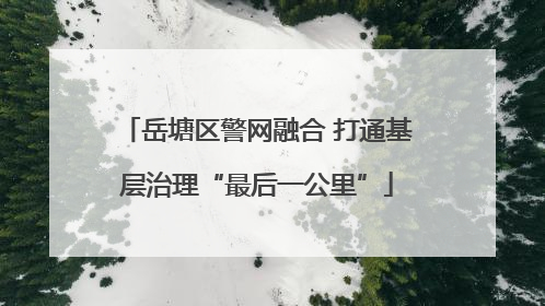 岳塘区警网融合 打通基层治理“最后一公里”