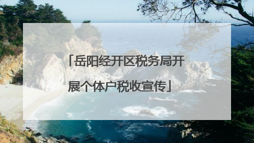 岳阳经开区税务局开展个体户税收宣传