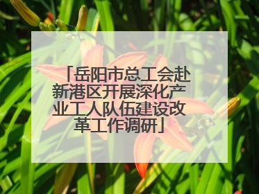岳阳市总工会赴新港区开展深化产业工人队伍建设改革工作调研