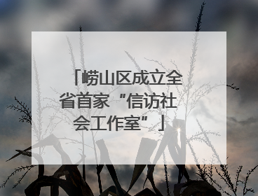 崂山区成立全省首家“信访社会工作室”