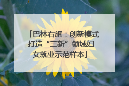巴林右旗：创新模式 打造“三新”领域妇女就业示范样本
