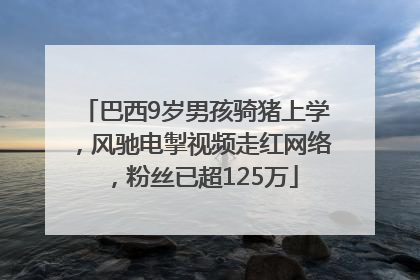 巴西9岁男孩骑猪上学，风驰电掣视频走红网络，粉丝已超125万