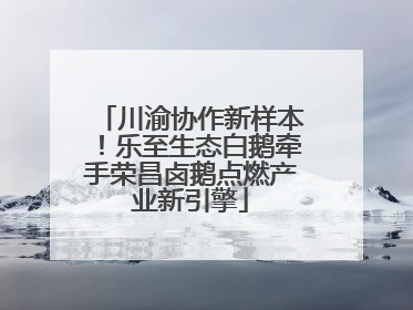 川渝协作新样本！乐至生态白鹅牵手荣昌卤鹅点燃产业新引擎