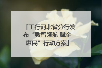 工行河北省分行发布“数智领航 赋企惠民”行动方案