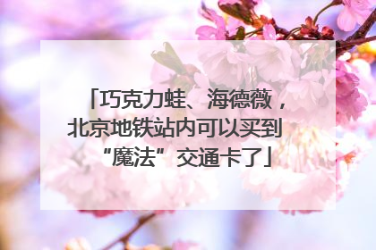 巧克力蛙、海德薇，北京地铁站内可以买到“魔法”交通卡了