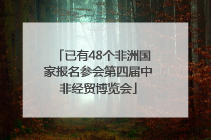 已有48个非洲国家报名参会第四届中非经贸博览会