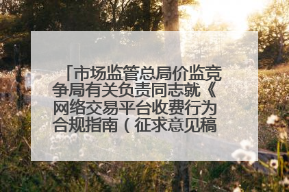 市场监管总局价监竞争局有关负责同志就《网络交易平台收费行为合规指南（征求意见稿）》答记者问