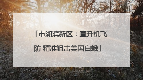 市湖滨新区：直升机飞防 精准狙击美国白蛾