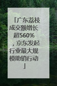 广东荔枝成交额增长超560%，京东发起行业最大规模助销行动