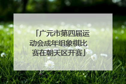 广元市第四届运动会成年组象棋比赛在朝天区开赛