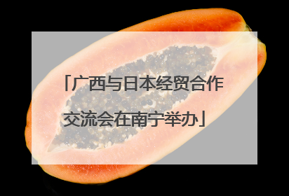广西与日本经贸合作交流会在南宁举办