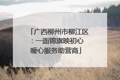 广西柳州市柳江区：一面锦旗映初心 暖心服务助营商