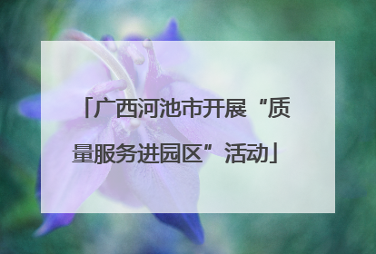 广西河池市开展“质量服务进园区”活动