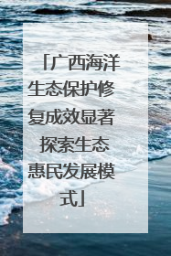 广西海洋生态保护修复成效显著 探索生态惠民发展模式