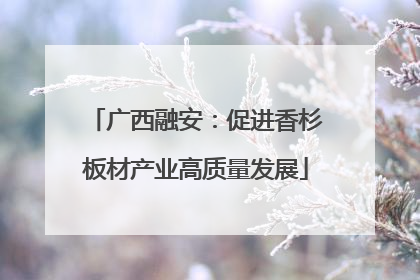 广西融安：促进香杉板材产业高质量发展