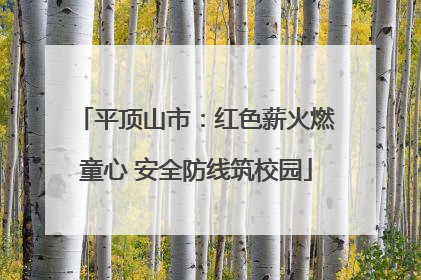 平顶山市：红色薪火燃童心 安全防线筑校园