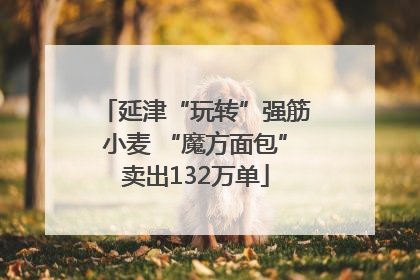 延津“玩转”强筋小麦 “魔方面包”卖出132万单