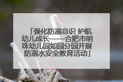 强化防溺意识 护航幼儿成长——合肥市明珠幼儿园如园分园开展防溺水安全教育活动