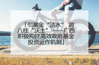 引基金“活水” 润八桂“沃土”——广西积极构建高效政府基金投资运作机制