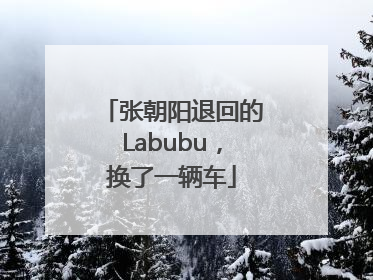 张朝阳退回的Labubu，换了一辆车