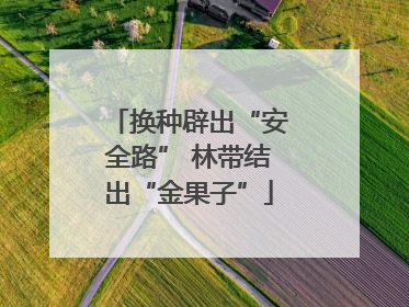 换种辟出“安全路” 林带结出“金果子”