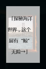 探秘海洋世界，这个展有“鲸”无险→