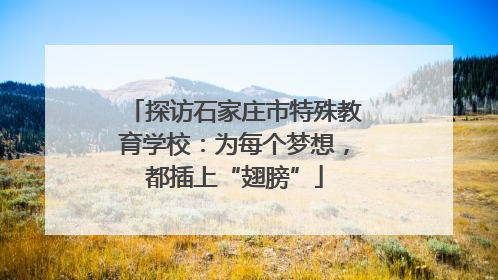 探访石家庄市特殊教育学校：为每个梦想，都插上“翅膀”