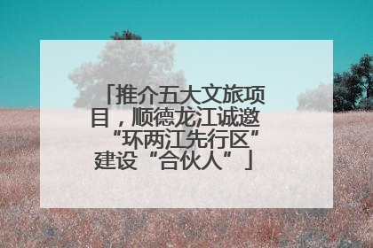 推介五大文旅项目，顺德龙江诚邀“环两江先行区”建设“合伙人”