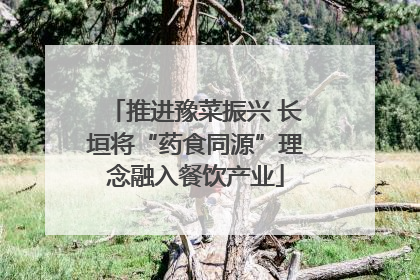 推进豫菜振兴 长垣将“药食同源”理念融入餐饮产业