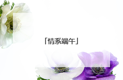 情系端午