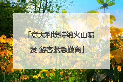 意大利埃特纳火山喷发 游客紧急撤离