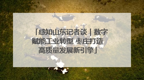 感知山东记者谈｜数字赋能工业转型 枣庄打造高质量发展新引擎