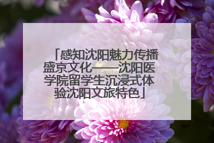 感知沈阳魅力传播盛京文化——沈阳医学院留学生沉浸式体验沈阳文旅特色