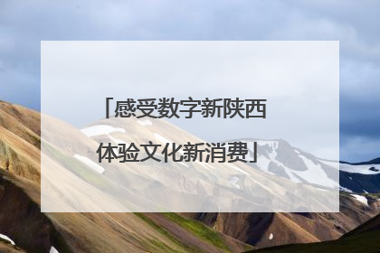 感受数字新陕西 体验文化新消费