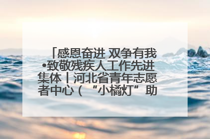 感恩奋进 双争有我•致敬残疾人工作先进集体丨河北省青年志愿者中心（“小橘灯”助残接力计划实施团队）：用温暖陪伴，守护特殊孩子成长