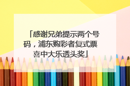 感谢兄弟提示两个号码，浦东购彩者复式票喜中大乐透头奖